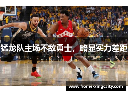 猛龙队主场不敌勇士，略显实力差距