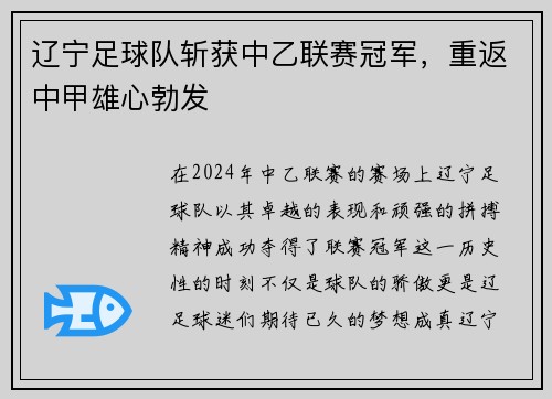 辽宁足球队斩获中乙联赛冠军，重返中甲雄心勃发